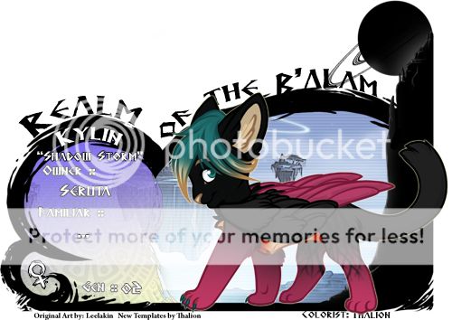 User Image